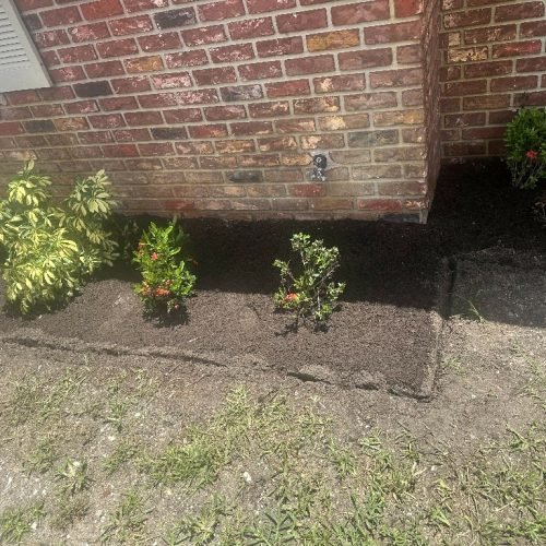 8C269FBC-31D8-46C6-9004-29462CB83C09