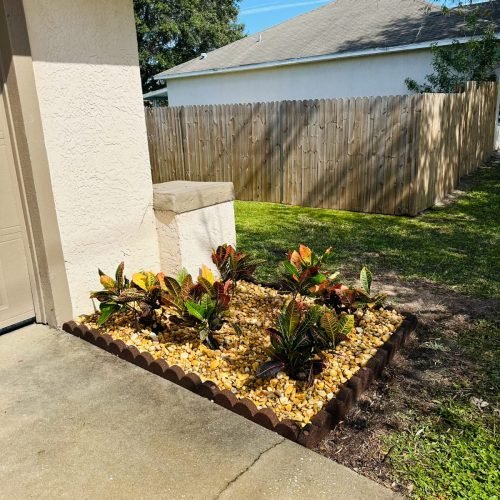 WhatsApp Image 2024-10-28 at 07.41.53_dfd05d51