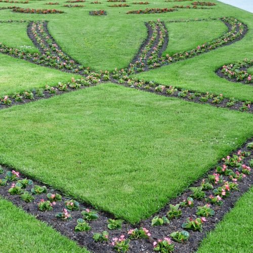 bed, gardens, planting